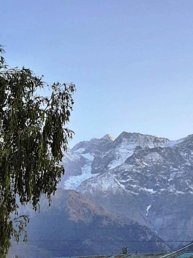 Pops Resort Palampur Ngoại thất bức ảnh